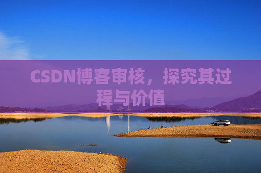CSDN博客审核，探究其过程与价值